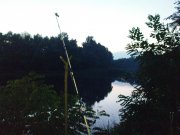 DSC03504.JPG