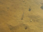 SDC12840.jpg