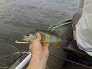 24072010139.jpg