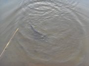 SDC12843.jpg