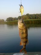 08082010575.jpg