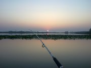 08082010573.jpg
