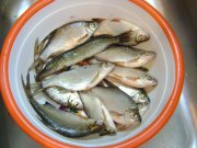 DSC00768.JPG