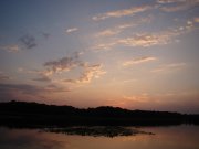 DSC05038.jpg