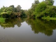 море 2010 146.jpg