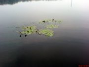DSC01318.JPG