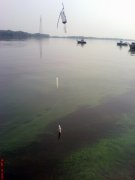 DSC01319.JPG