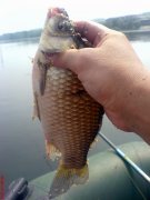 DSC01321.JPG