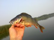 15082010597.jpg
