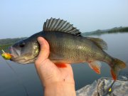 15082010595.jpg