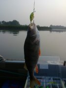 15082010593.jpg