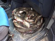 DSC01762.jpg