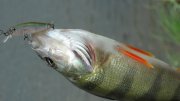 IMG_0501.jpg