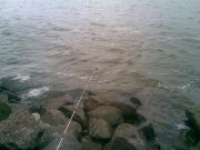 20082010(001).JPG