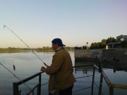 DSC03610.JPG