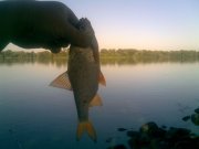 24082010.JPG