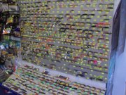 DSC02380.JPG