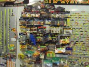 DSC02381.JPG