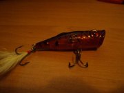 DSC02399.JPG