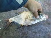 DSC03641.JPG