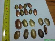 DSC02334.JPG