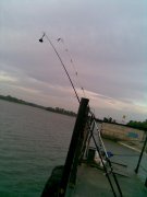 28082010.jpg