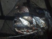 30082010304.jpg