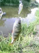 PIC_0357.jpg
