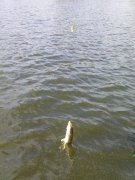 DSC01051.JPG