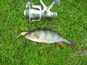 DSC00798.JPG