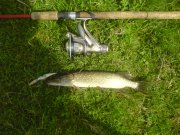 DSC00800.JPG