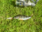 DSC00801.JPG