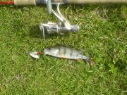 DSC00804.JPG
