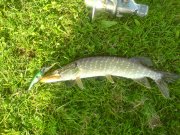 DSC00805.JPG
