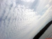 DSC01339.jpg