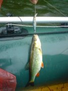 DSC00106.jpg