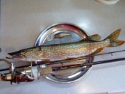 DSC00298.jpg