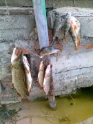 07092010033.jpg