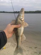 07092010311.jpg