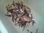 DSC01119.jpg