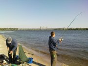 DSC03819.jpg