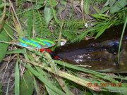 DSCN5536.JPG