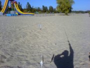 DSC01352.jpg