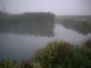 df_0002.jpg
