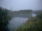 re_0004.jpg