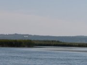 P9140525.jpg