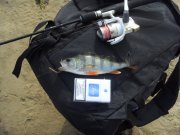 SDC13263.JPG