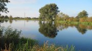 IMG_0669.jpg