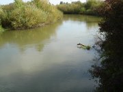 DSC00489_1.jpg