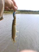 IMG078.JPG
